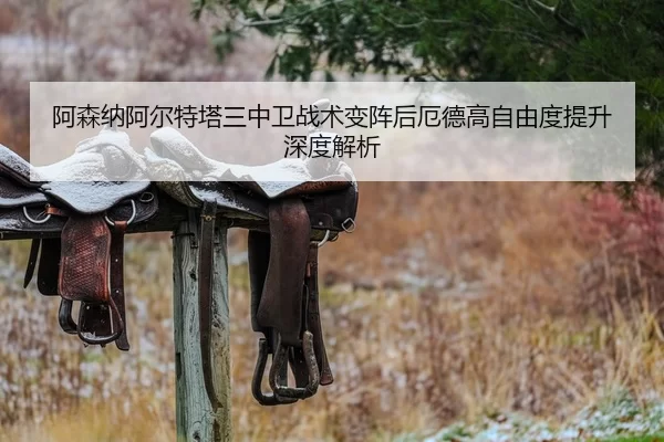 阿森纳阿尔特塔三中卫战术变阵后厄德高自由度提升深度解析