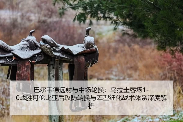 巴尔韦德远射与中场轮换：乌拉圭客场1-0战胜哥伦比亚后攻防转换与阵型细化战术体系深度解析
