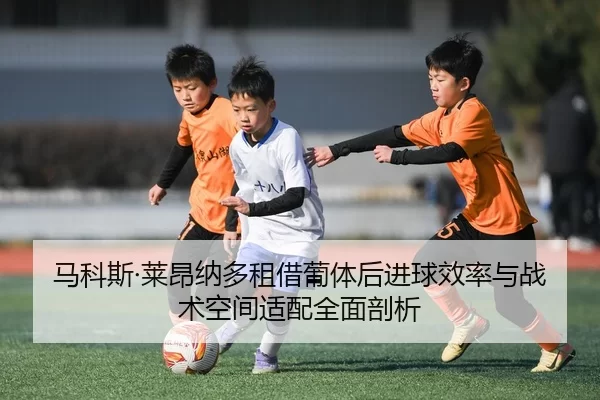 马科斯·莱昂纳多租借葡体后进球效率与战术空间适配全面剖析