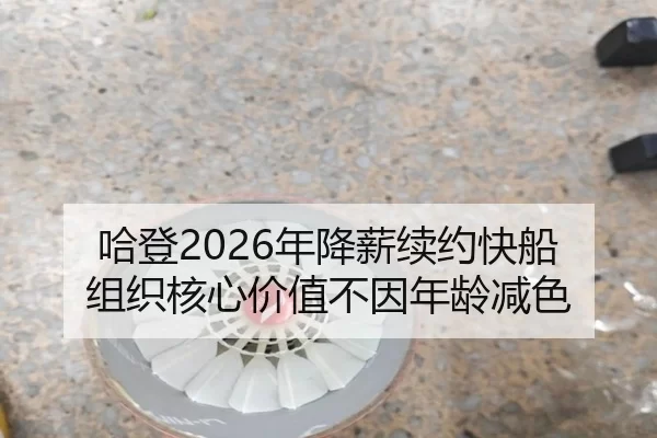 ha-deng-nian-jiang-xin-xu-yue-kuai-chuan-zu-zhi-he-xin-jia-zhi-bu-yin-nian-ling-jian-se-3-200.jpg
