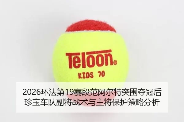 huan-fa-di-sai-duan-fan-a-er-te-tu-wei-duo-guan-hou-zhen-bao-che-dui-fu-jiang-zhan-shu-yu-zhu-jiang-bao-hu-ce-lve-fen-xi-3-994.jpg